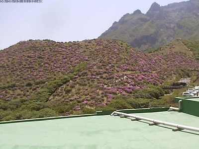 춮20090510-2.jpg