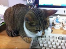 securedownload017.jpg securedownload017.jpg
