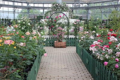 2012_05_14-thumbnail2.jpg